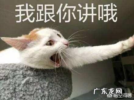 多地超凶冷空气过境,雨雪降温齐发,寒冬就要来了吗?