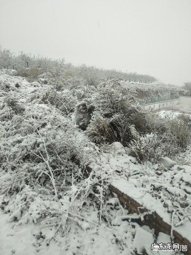 多地超凶冷空气过境,雨雪降温齐发,寒冬就要来了吗?