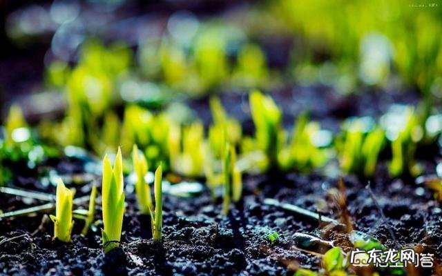 为什么古代人把春游叫做踏青″?