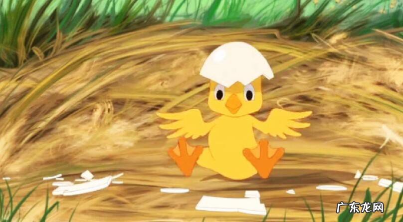 鸭子破壳的最佳方法