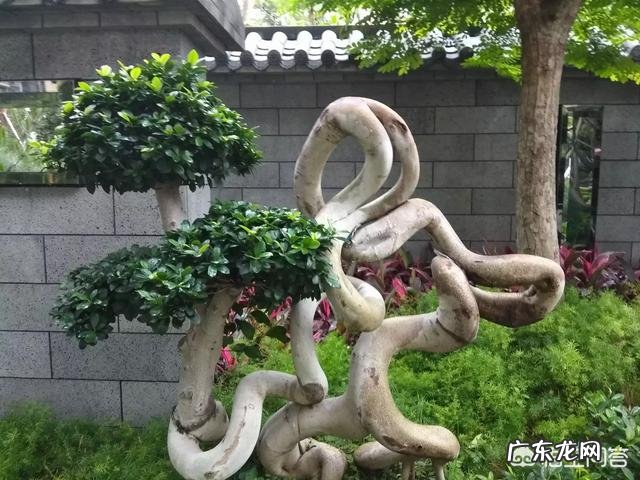 喜欢用浓烈气味香水的女人都是什么样的女人？