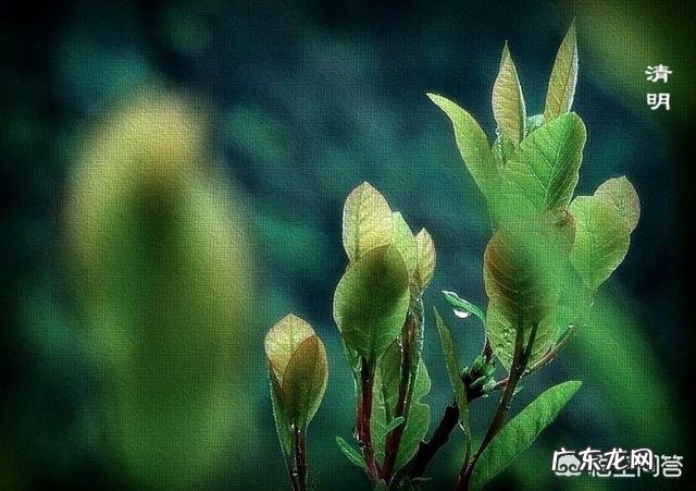 又是一年清明时,您知道清明节的由来和习俗吗?