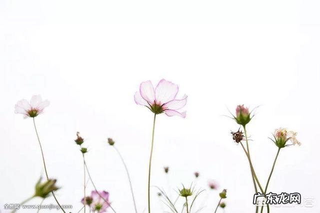 怎样给孩子积极的心理暗示？