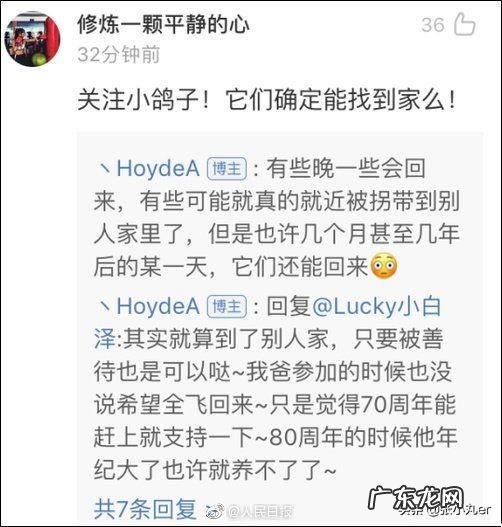 世界上聪明的动物有哪些,它们中谁最聪明?