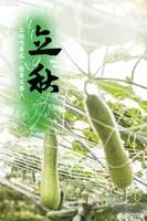 今年是农历七月初八立秋,但老话说“七月立秋,万物不收”意味着什么?