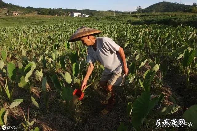 今年是农历七月初八立秋,但老话说“七月立秋,万物不收”意味着什么?
