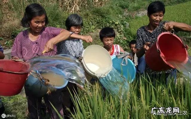 今年是农历七月初八立秋,但老话说“七月立秋,万物不收”意味着什么?