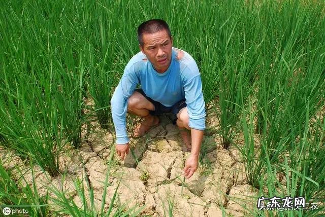 今年是农历七月初八立秋,但老话说“七月立秋,万物不收”意味着什么?