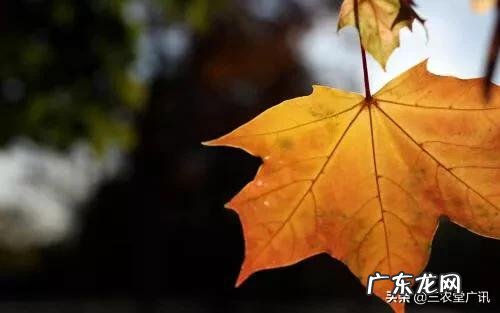 今年是农历七月初八立秋,但老话说“七月立秋,万物不收”意味着什么?