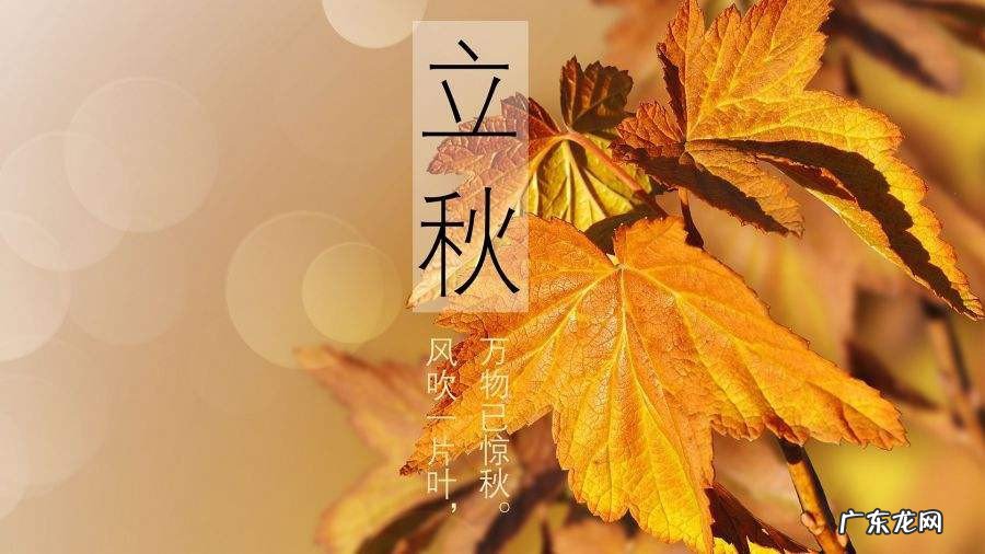 中国立秋当天吃什么