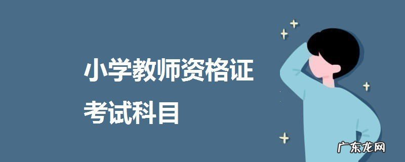 教师资格证小学可以考哪些科目