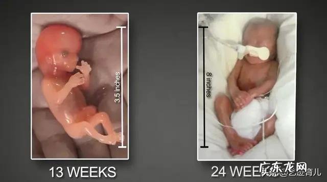 封闭抗体为阴性能不能怀孕?