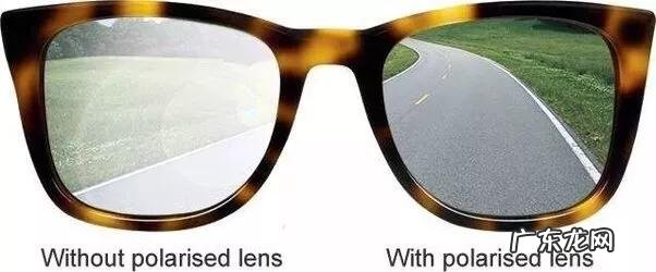 如何选购太阳镜?