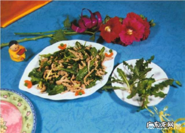 蒲公英正当季,营养美味,如何食用?