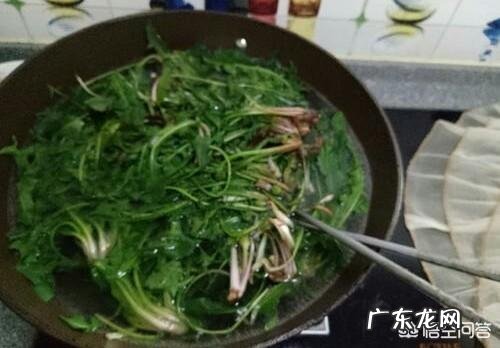 蒲公英正当季，营养美味，如何食用？