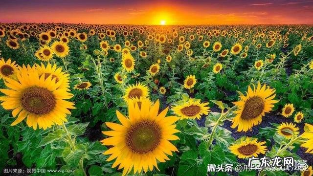 对什么都不感兴趣,不想说话,心情一直很不开心,怎么办?