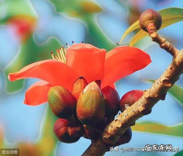 打油诗和绝句诗的区别是什么?