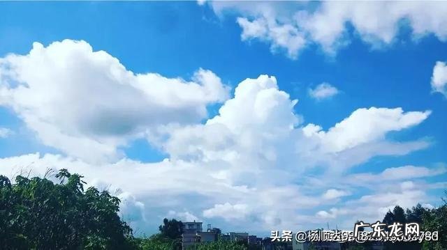 打油诗和绝句诗的区别是什么?