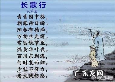 打油诗和绝句诗的区别是什么？