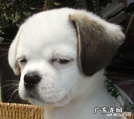 怎么才能找到相爱的人?