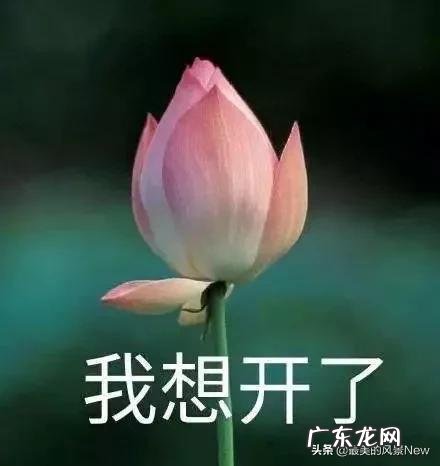 出轨的男人还有再原谅的必要吗？