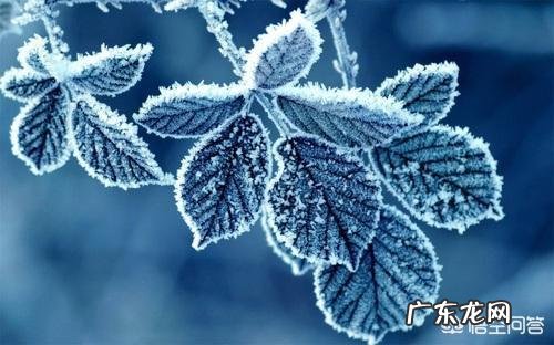 霜降到立冬的养生该如何做？