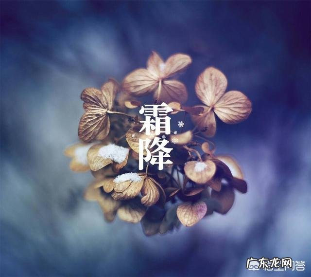 霜降到立冬的养生该如何做？