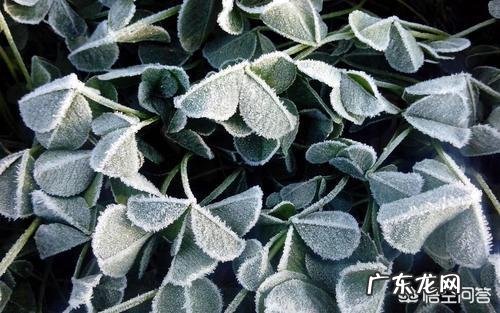 霜降到立冬的养生该如何做？