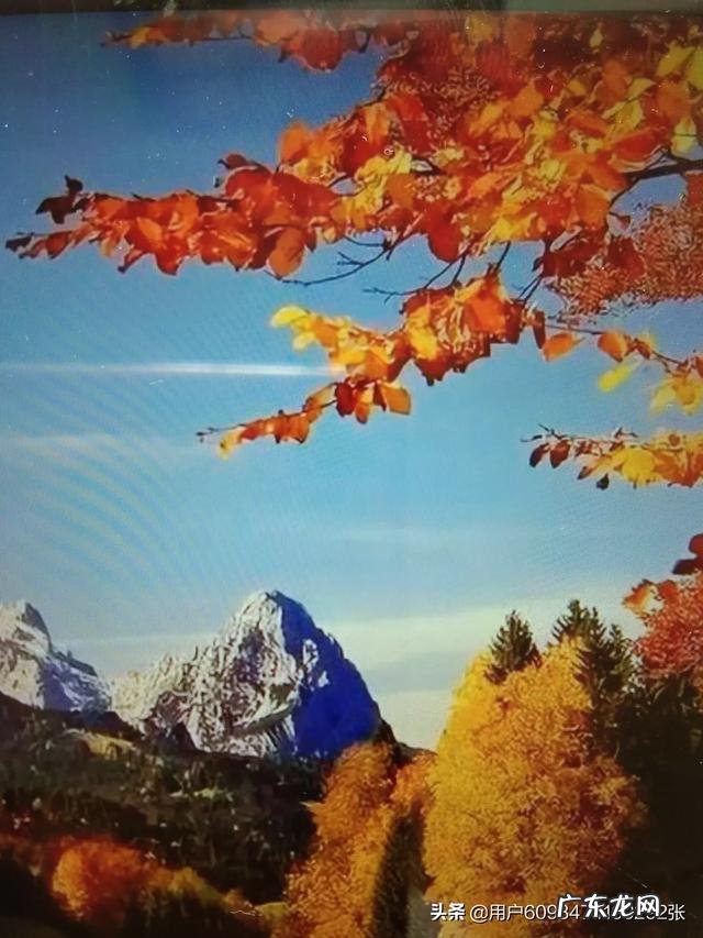 霜降到立冬的养生该如何做?