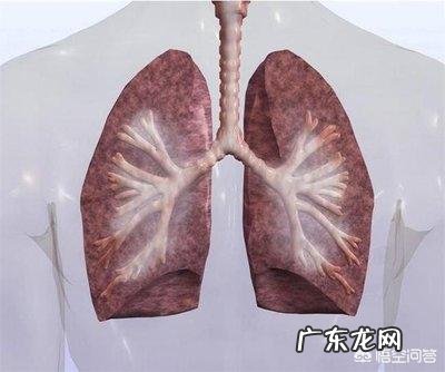 肝不好会有什么临床表现?