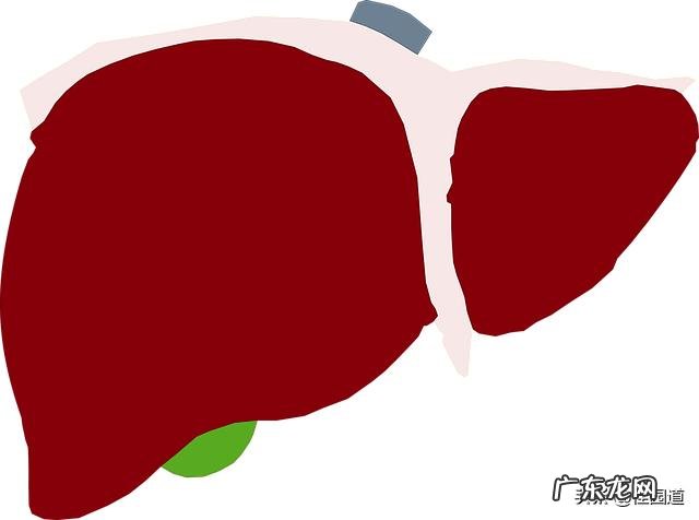 肝不好会有什么临床表现?