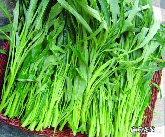 空心菜应该什么时候种植？有哪些注意事项？