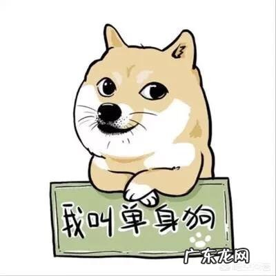 你是怎么过情人节的?有没有浪漫的故事值得分享?