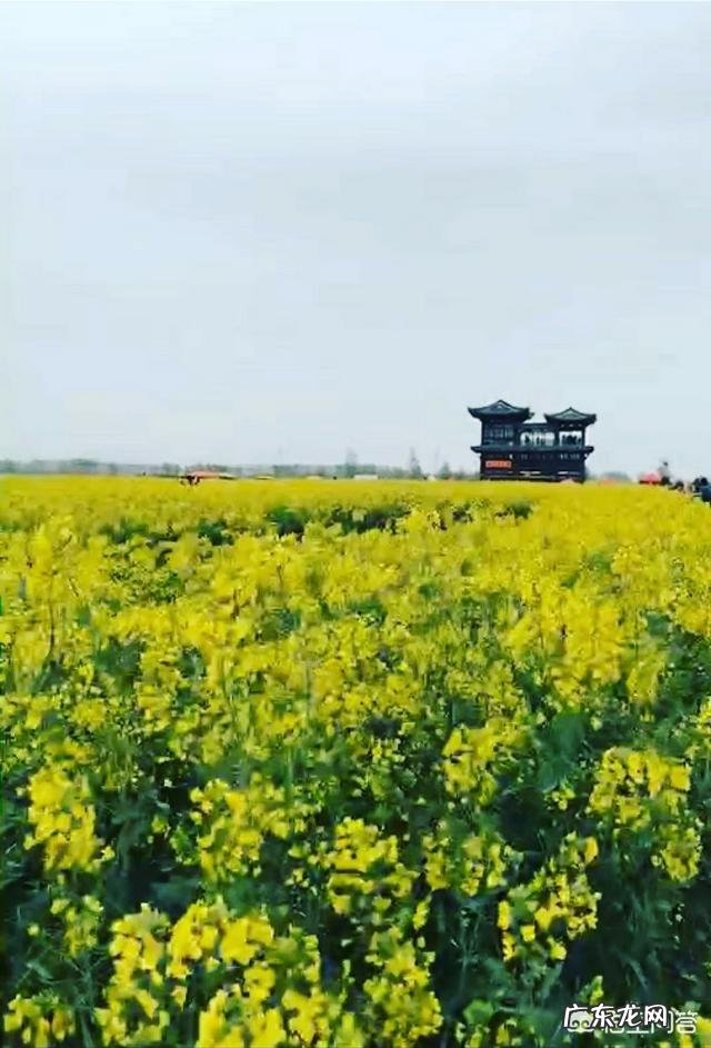 3、4月份适合去哪里旅游,哪里的景色比较美?