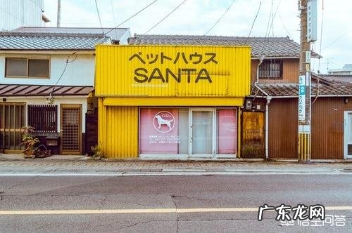 什么叫日系摄影风格?怎样拍出效果?