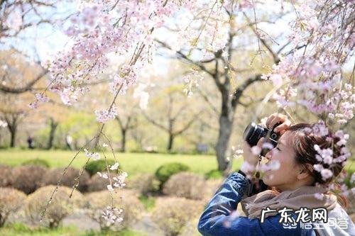 什么叫日系摄影风格?怎样拍出效果?