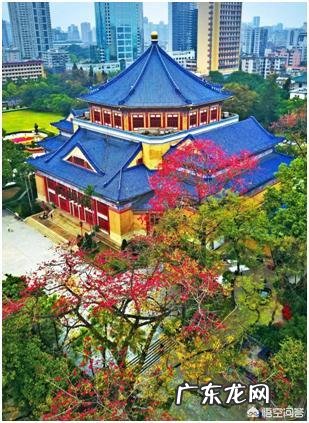 广州市花为什么是木棉?