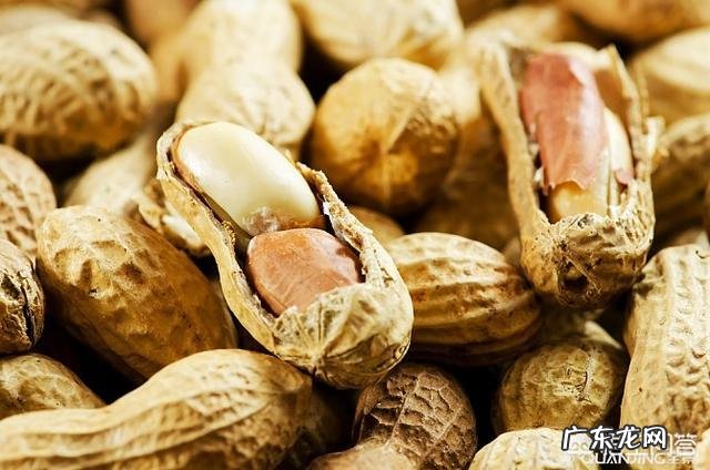 花生的用途和功效有哪些?