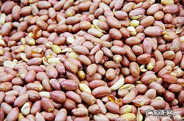 花生的用途和功效有哪些?