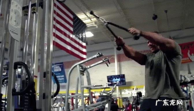 如何锻炼肩部三角肌和三头肌?