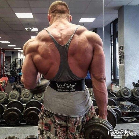 如何锻炼肩部三角肌和三头肌?