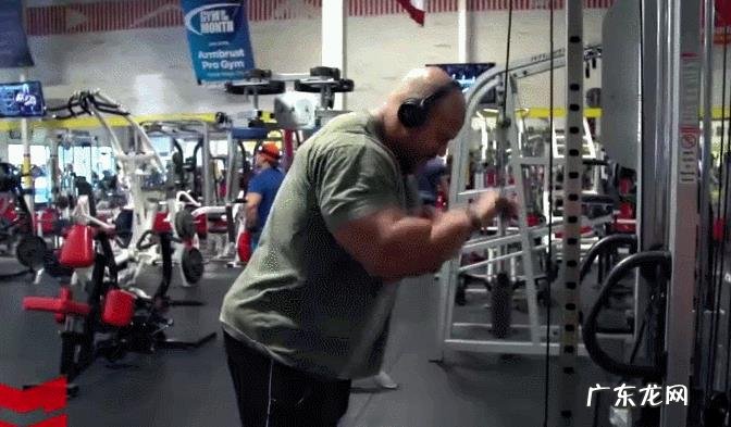 如何锻炼肩部三角肌和三头肌?