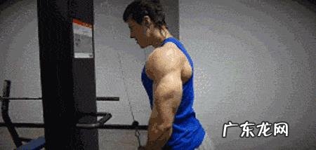 如何锻炼肩部三角肌和三头肌?