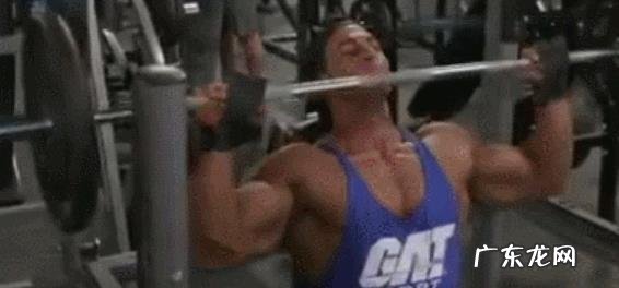 如何锻炼肩部三角肌和三头肌?