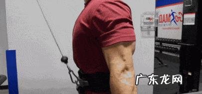 如何锻炼肩部三角肌和三头肌?