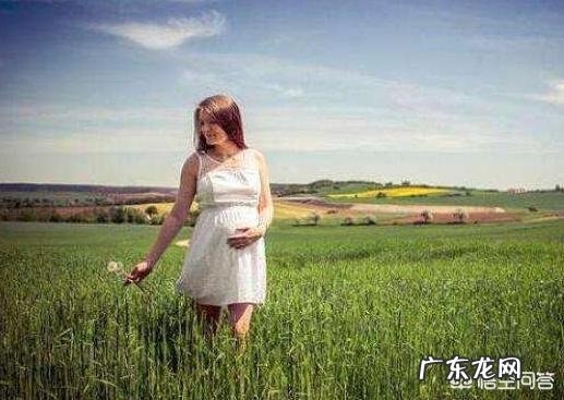 孕期吃什么能提高宝宝的智力？