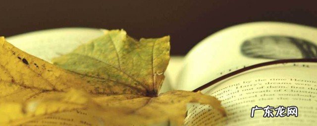 红泥小火炉绿蚁新醅酒全文