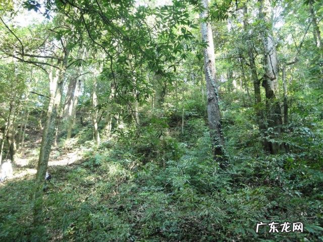 “感情里,没有谁对谁错,只有珍惜不珍惜对方”你怎么看?