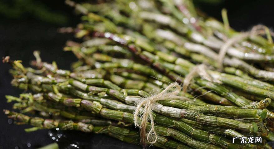 草石斛的功效与作用