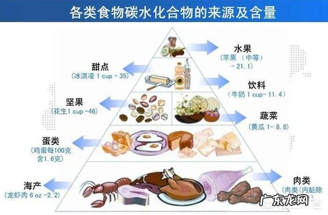 碳水化合物都包括什么?